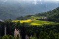 Spectacular rice field terraces at sunset in front of Laowuchang village, in Wulingyuan National Park, Zhangjiajie, China Royalty Free Stock Photo