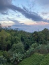 Tegallalang Rice Terraces, Bali, Indonesia - stock photo Royalty Free Stock Photo