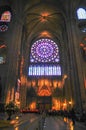 Spectacular Rose Window Notre-Dame de Paris in May, 2014