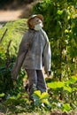 Spectacular scarecrow with human shape, long shot Royalty Free Stock Photo