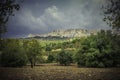 Spectacular scenic view of Agrigento and the seculiar olive trees from the Valley of the temples in Sicily