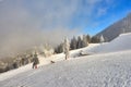 Spectacular ski slopes in the Carpathians,Poiana Brasov ski resort,Transylvania,Romania,Europe,Pine forest covered in snow on Royalty Free Stock Photo