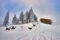 Spectacular ski slopes in the Carpathians,Poiana Brasov ski resort,Transylvania,Romania,Europe,Pine forest covered in snow on Royalty Free Stock Photo