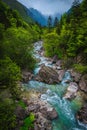 Spectacular Soca river in the forest, Bovec, Slovenia Royalty Free Stock Photo