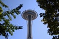 The spectacular Space Needle below the trees