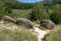 Growing Stones - Ulmet, Buzau County, Romania