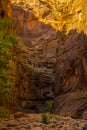 The spectacular and stunning canyon in the Narrows, Zion National Park, USA