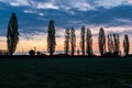 A spectacular sunrise with an amazing colored sky over the rolling hills in an Italian landscape with the Tuscan Poplar trees