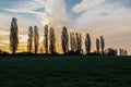 A spectacular sunrise with an amazing colored sky over the rolling hills in an Italian landscape with the Tuscan Poplar trees