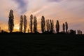 A spectacular sunrise with an amazing colored sky over the rolling hills in an Italian landscape with the Tuscan Poplar trees