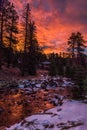 Near Falls River Road,  Rocky Mountain National Park, Colorado, USA Royalty Free Stock Photo