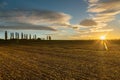 A spectacular sunrise with sunbeams over the rolling hills in an Italian landscape with the typical Tuscan Poplar trees. Royalty Free Stock Photo