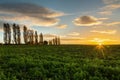 A spectacular sunrise with sunbeams over the rolling hills in an Italian landscape with the typical Tuscan Poplar trees. Royalty Free Stock Photo