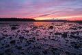 Sunset over mudflats in Maine.