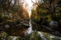 Spectacular sunset view of Fairy Glen at Betws-y-Coed in Snowdonia National Park, Wales Royalty Free Stock Photo