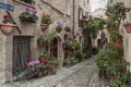 Spectacular traditional italian medieval alley in the historic center of beautiful little town of Spello Perugia Royalty Free Stock Photo