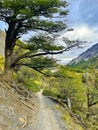 The spectacular trail to Chileno basecamp Royalty Free Stock Photo