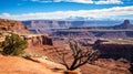 A spectacular view of a canyon with hoodoos and buttes in the front and mountains in the back