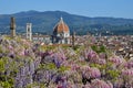 Spectacular view of the Cathedral Santa Maria del Fiore and Giotto`s bell tower in Florence with a purple flowering wisteria Royalty Free Stock Photo