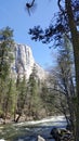 Yosemite Valley in all its glory - Merced River and View of El C Royalty Free Stock Photo