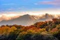 Spectacular view landscape mountain hill foggy day sunrise Killorglin Kerry Ireland red green forest Royalty Free Stock Photo