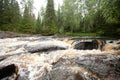 Spectacular view on mountain river, fast water flow, waterfall in forest