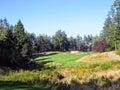A spectacular view of a par 4 golf hole surrounded by forest and well manicured fairway, in Victoria, British Columbia, Canada