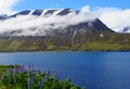 The spectacular view of the partially covered snowy mountain along the fjord near Olafsfjordur, Iceland