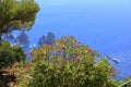 Spectacular View of Sea Cliffs and Coastline to the Faraglioni Rocks from Monte Solaro, Island of Capri, Italy Royalty Free Stock Photo
