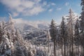 Spectacular view of the snowy wild landscape located in the middle of Europe in the Czech lands. European wildlife shows its