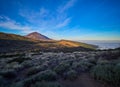 A Spectacular view to the Pico del Teide volcano in Tenerife national park, Canary Island, Spain Royalty Free Stock Photo