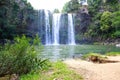 Spectacular view of Whangarei Falls, New Zealand Royalty Free Stock Photo