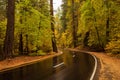 Spectacular views to the Yosemite National Park, California, USA. Royalty Free Stock Photo