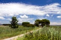 Spectacular views, Tuscany, Italy , a summer day