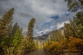 Spectacular views to the Yosemite waterfall in Yosemite National Park, California, USA Royalty Free Stock Photo