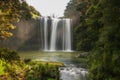 Spectacular Whangarei Falls is a 26m high waterfall surrounded by park, native New Zealand bush and walkways.