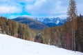 Spectacular winter with coniferous forest