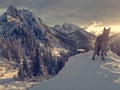 Spectacular winter mountain landscape illuminated by setting sun.