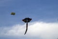 Spectators enjoy the large kites flying at Mina district in Qatar as part of Kite Festival 2024 Royalty Free Stock Photo