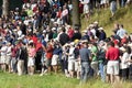 Spectators intensely watch Tiger Royalty Free Stock Photo
