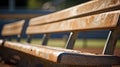 spectators stadium bench