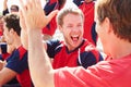 Spectators In Team Colors Watching Sports Event Royalty Free Stock Photo