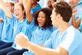 Spectators In Team Colors Watching Sports Event Royalty Free Stock Photo