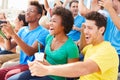 Spectators In Team Colors Watching Sports Event Royalty Free Stock Photo