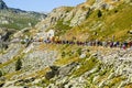 Spectators - Tour de France 2015 Royalty Free Stock Photo