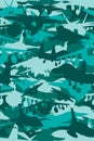 Military Camouflage fighter jet teal pattern