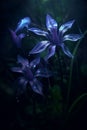 Spectral Blue and Violet Gentians