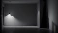 Spectral Illumination: Gray Wall and Mysterious Light