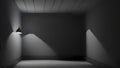 Spectral Illumination: Gray Wall and Mysterious Light