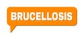 Speech BRUCELLOSIS Colored Bubble Frame Royalty Free Stock Photo